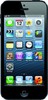 Apple iPhone 5 16GB - Ставрополь